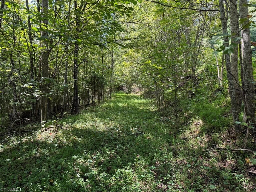Unimproved Land at 000 Friendly Grove Church Road, Millers Creek NC 28651, Millers Creek, photo 13 of 84