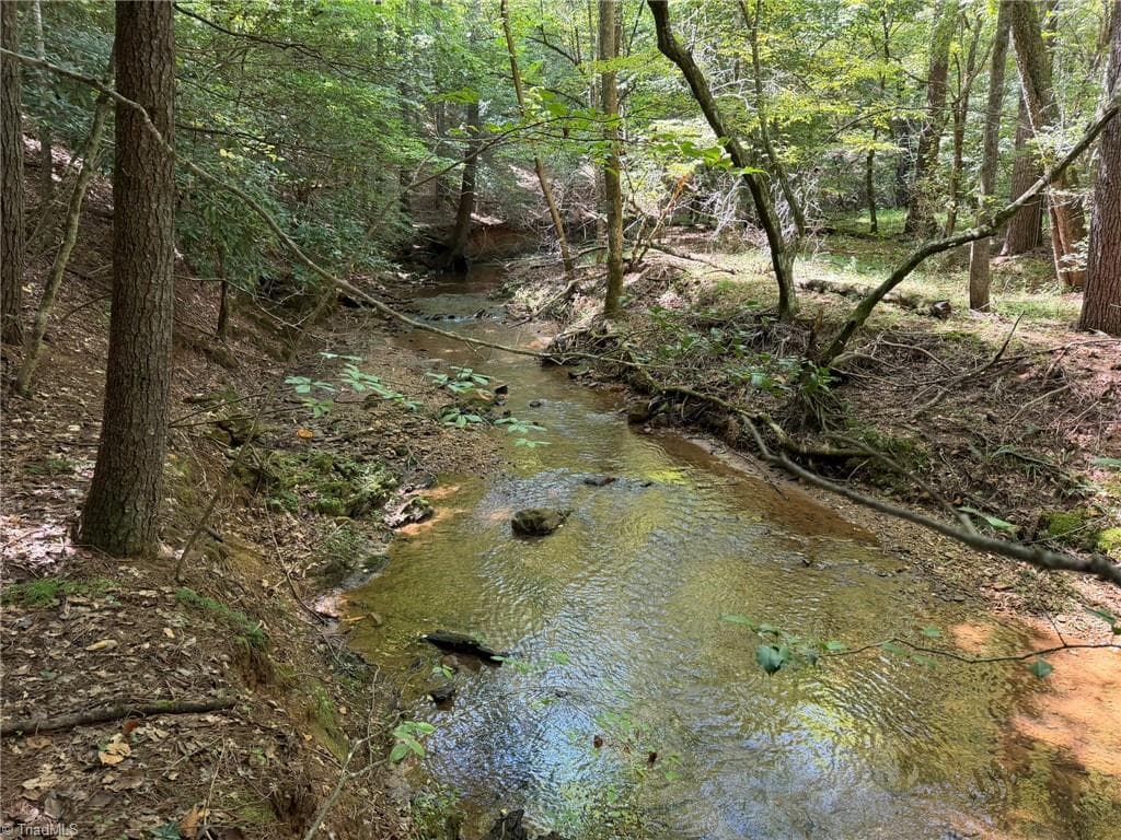 Unimproved Land at 000 Friendly Grove Church Road, Millers Creek NC 28651, Millers Creek, photo 59 of 84