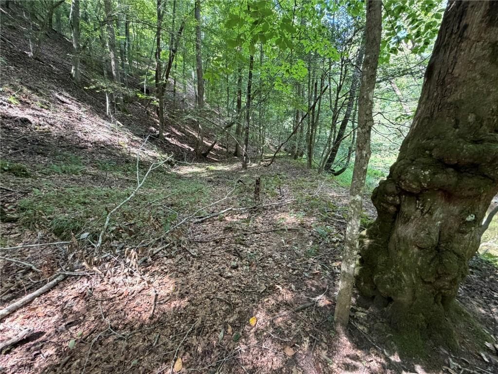 Unimproved Land at 000 Friendly Grove Church Road, Millers Creek NC 28651, Millers Creek, photo 67 of 84