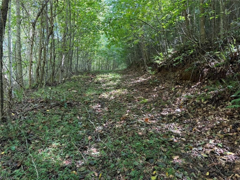 Unimproved Land at 000 Friendly Grove Church Road, Millers Creek NC 28651, Millers Creek, photo 19 of 84
