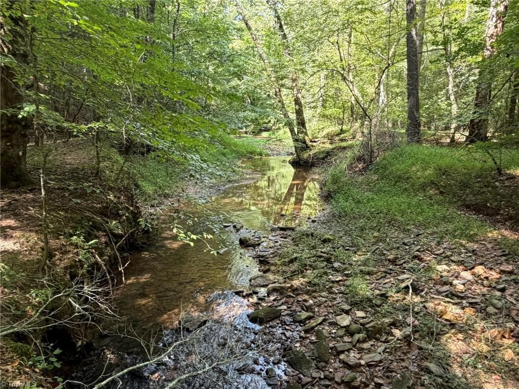 Unimproved Land at 000 Friendly Grove Church Road, Millers Creek NC 28651, Millers Creek, photo 65 of 84
