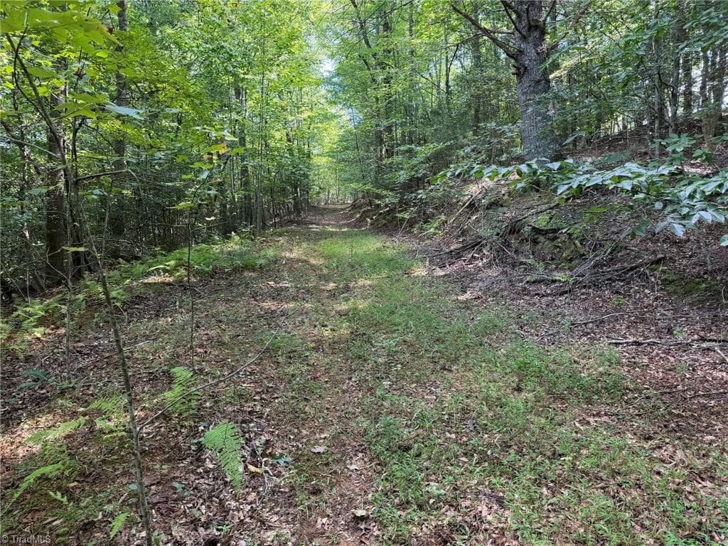 Unimproved Land at 000 Friendly Grove Church Road, Millers Creek NC 28651, Millers Creek, photo 27 of 84