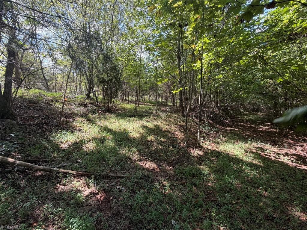 Unimproved Land at 000 Friendly Grove Church Road, Millers Creek NC 28651, Millers Creek, photo 37 of 84