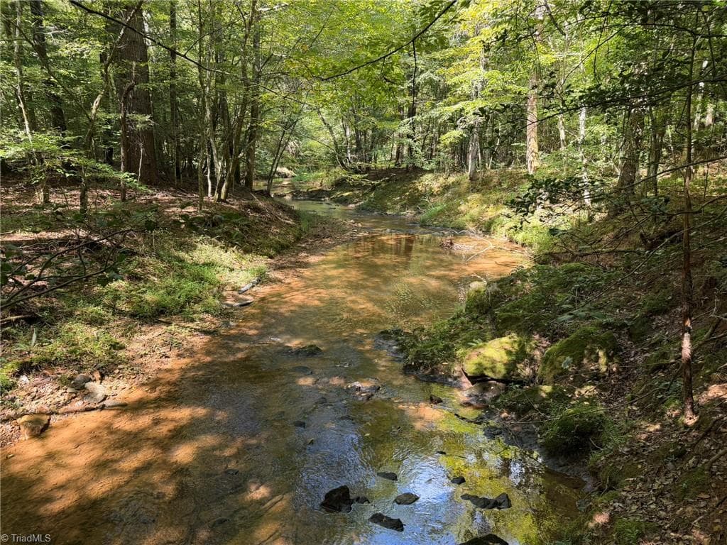 Unimproved Land at 000 Friendly Grove Church Road, Millers Creek NC 28651, Millers Creek, photo 61 of 84