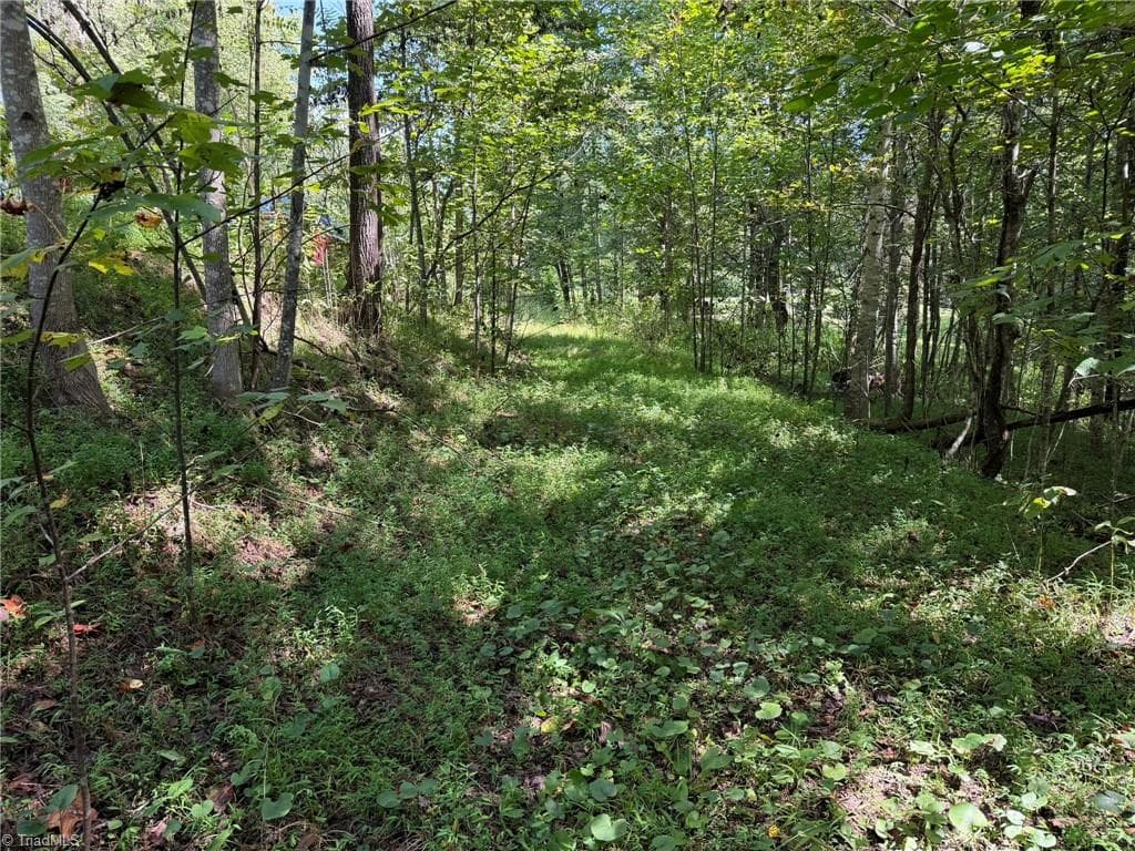 Unimproved Land at 000 Friendly Grove Church Road, Millers Creek NC 28651, Millers Creek, photo 15 of 84