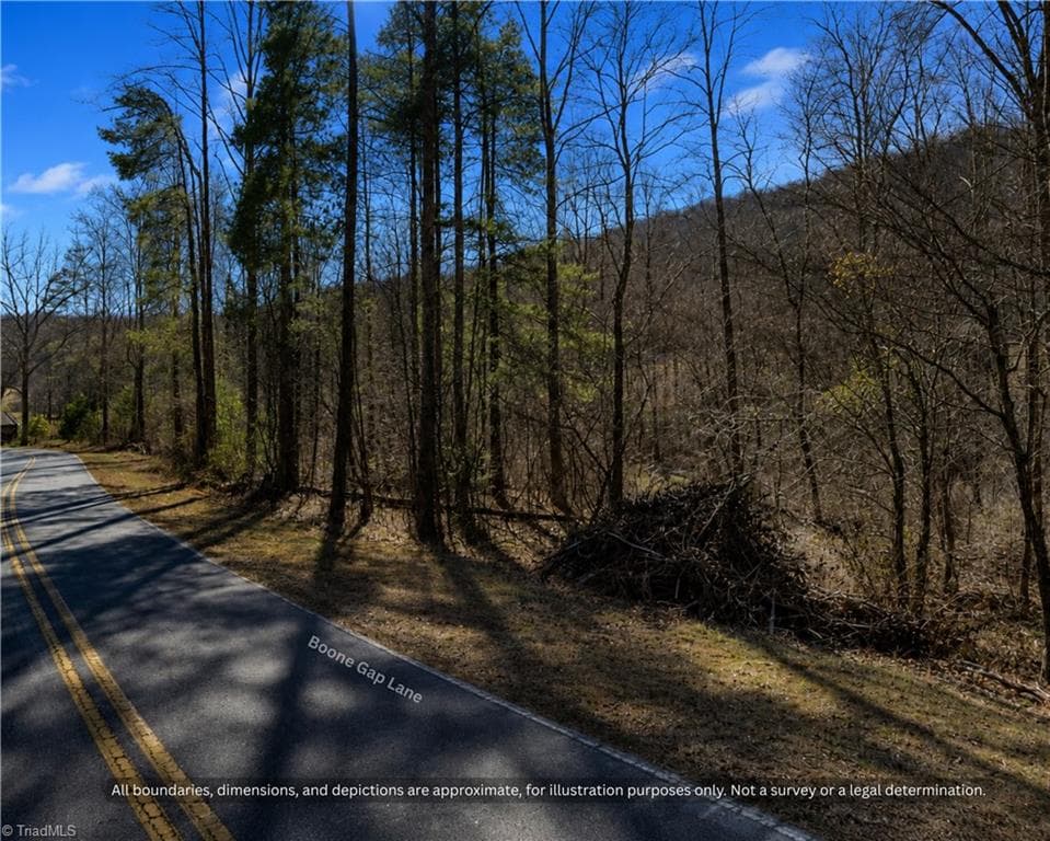 Road frontage on paved Boone Gap Lane with mature pines and hardwoods along the property - 99999 Boone Gap Lane, Taylorsville NC 28681, Taylorsville