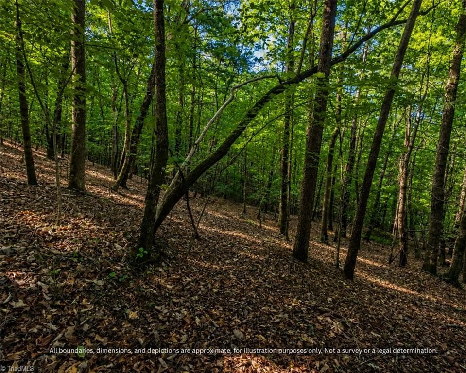 Wooded slope rising toward the ridge top, plan for a stepped or graded homesite - 99999 Boone Gap Lane, Taylorsville NC 28681, Taylorsville