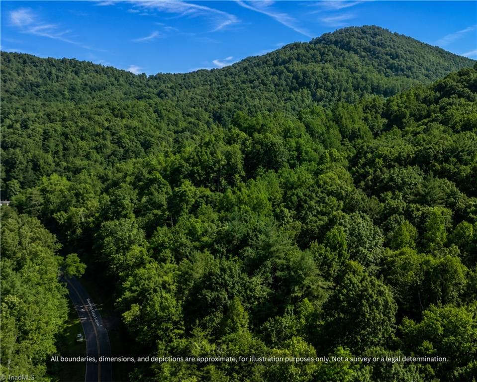 Thick hardwood canopy on rural land near Hickory and Wilkesboro, NC - 99999 Boone Gap Lane, Taylorsville NC 28681, Taylorsville