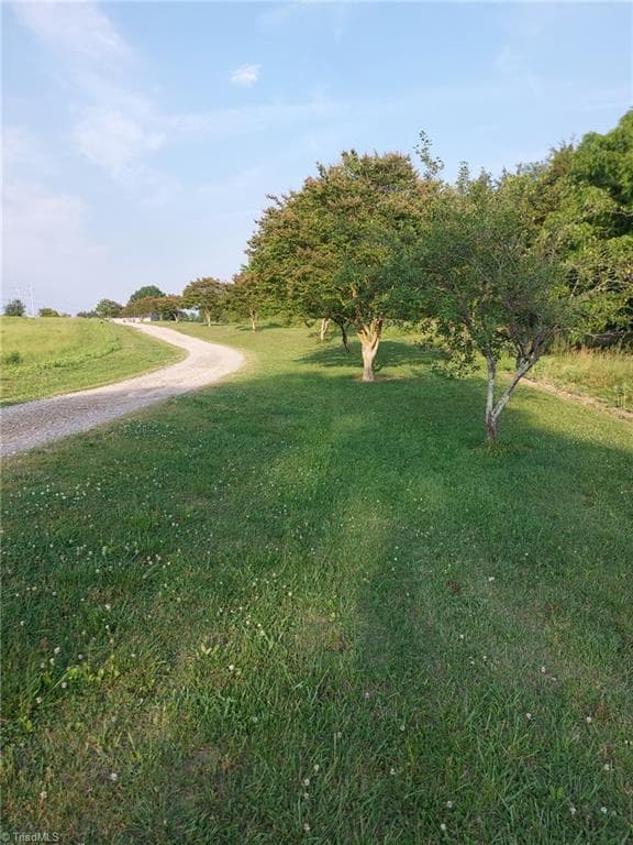 looking up the tree line towards Thomas - 141 Old Thomas Farm Road, Lexington NC 27295, Lexington