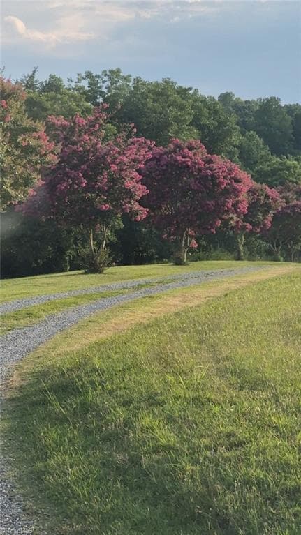 trees in bloom towards the back of the property - 141 Old Thomas Farm Road, Lexington NC 27295, Lexington