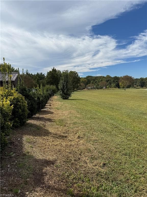 from the back of the property looking down the tree line - 141 Old Thomas Farm Road, Lexington NC 27295, Lexington