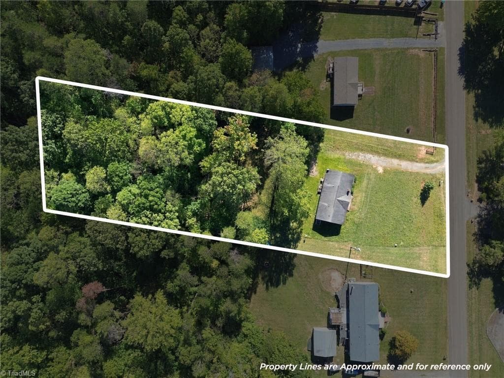 Overhead shot showing the lot lines/dimensions. - 415 Talley Road, Reidsville NC 27320, Reidsville