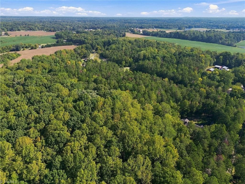 Unimproved Land at 4589 Dicks Mill Road, McLeansville NC 27301, McLeansville, photo 11 of 15