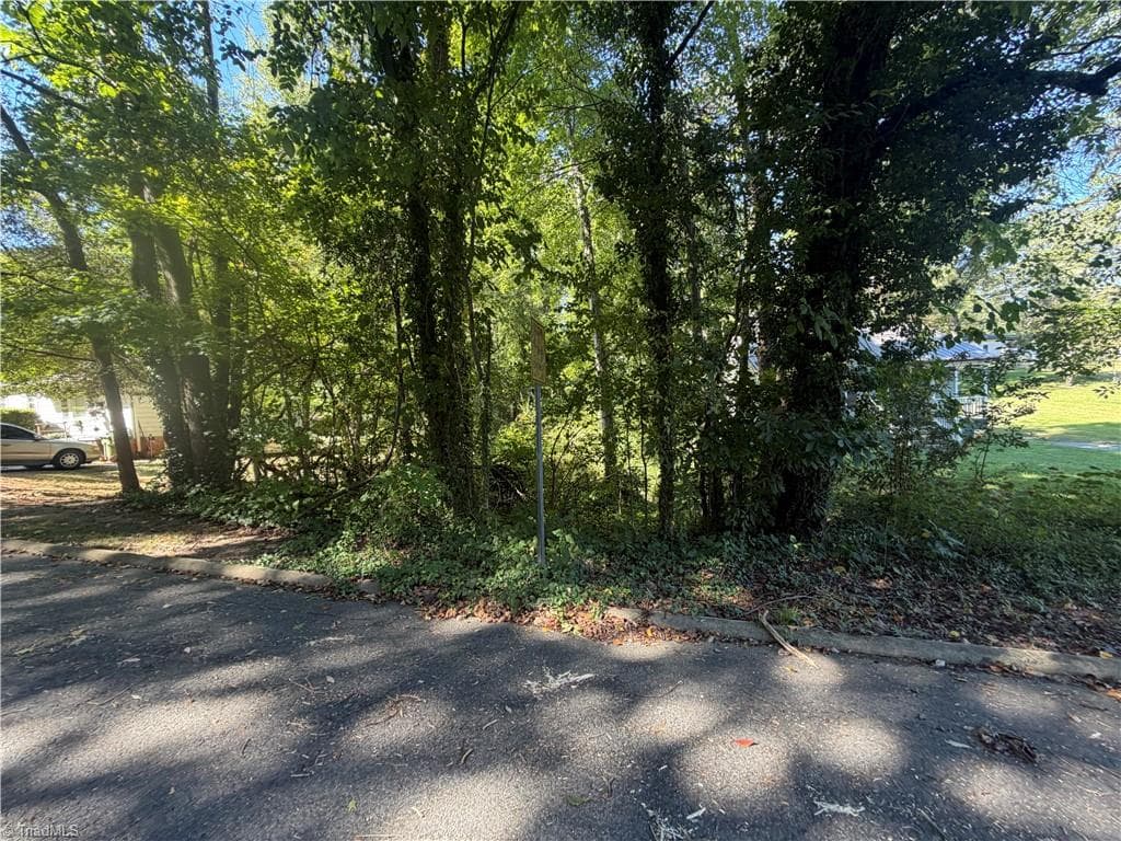 Unimproved Land at 510 Rosewood Drive, Lexington NC 27292, Lexington, photo 5 of 12