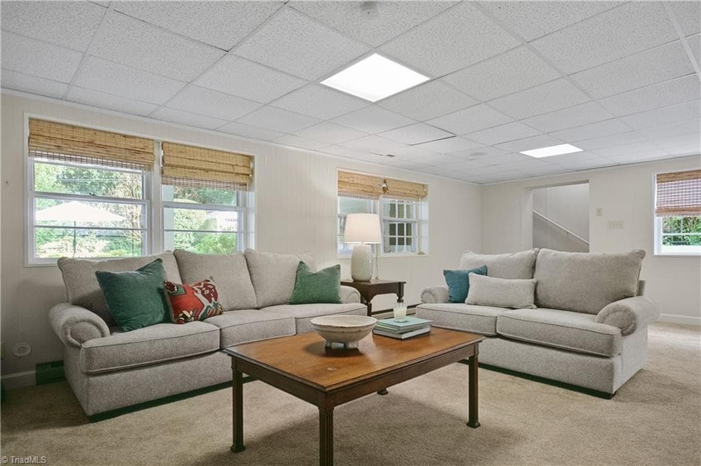 Huge walkout / daylight basement - 1206 Hill Street, Greensboro NC 27408, Greensboro