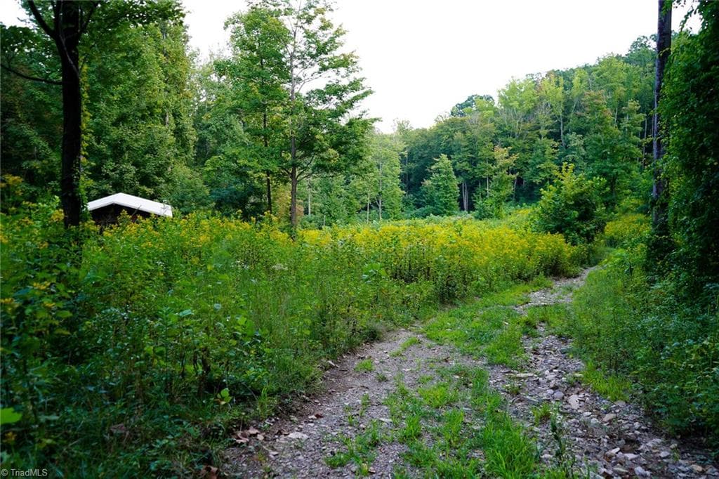 Remarks at 671 Ramey Orchard Road, Lowgap NC 27024, Lowgap, photo 11 of 100