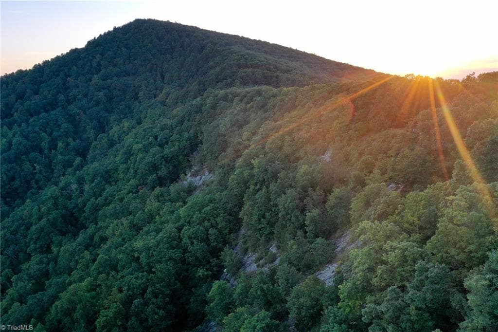 Remarks at 671 Ramey Orchard Road, Lowgap NC 27024, Lowgap, photo 25 of 100