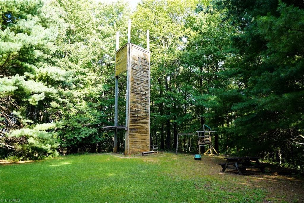 Remarks at 671 Ramey Orchard Road, Lowgap NC 27024, Lowgap, photo 39 of 100