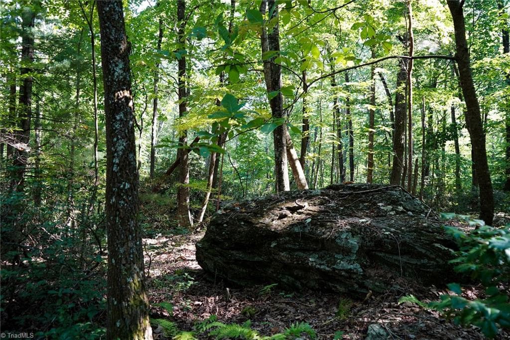 Remarks at 671 Ramey Orchard Road, Lowgap NC 27024, Lowgap, photo 19 of 100