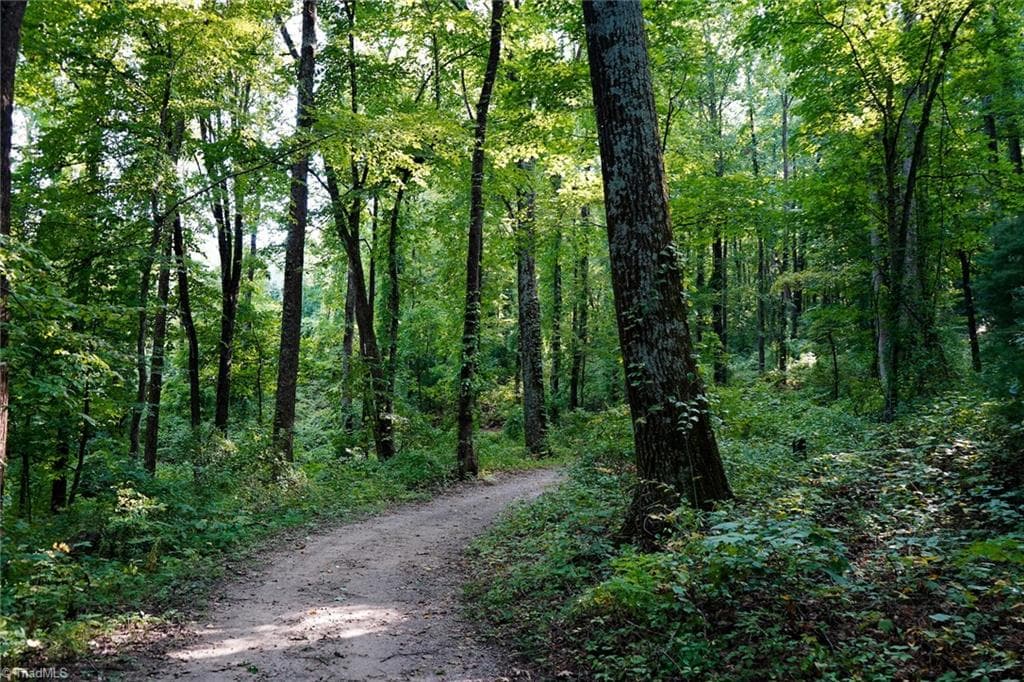 Remarks at 671 Ramey Orchard Road, Lowgap NC 27024, Lowgap, photo 15 of 100