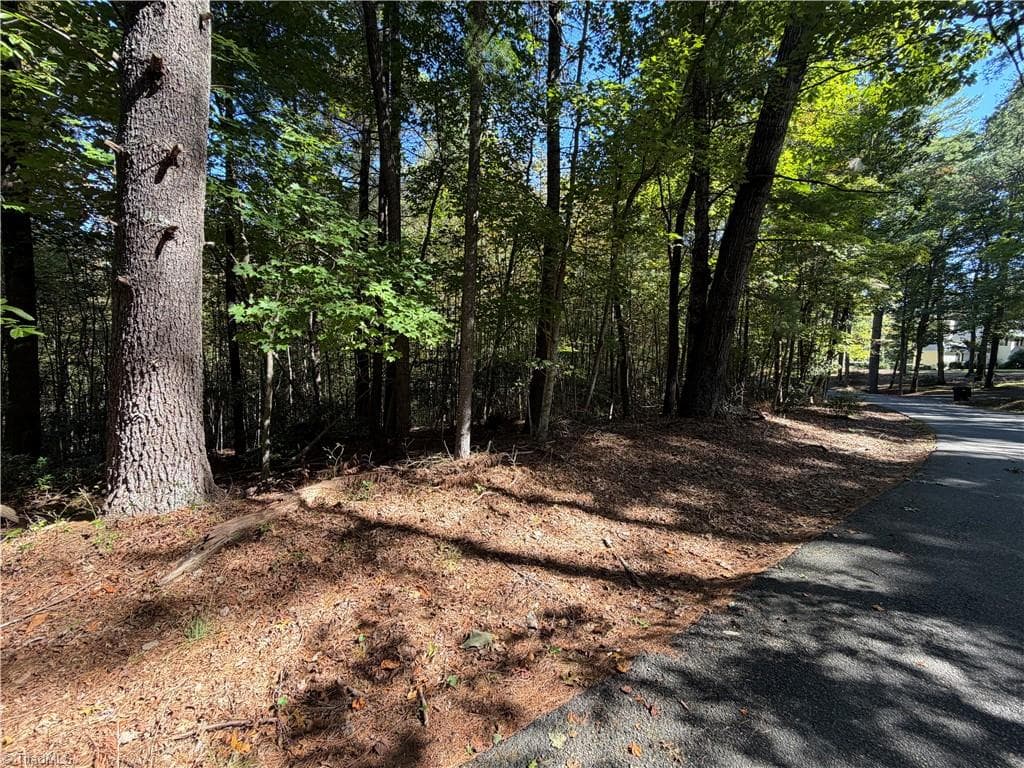 Single Family Residence at 00 Lawrelyn Drive, Mount Airy NC 27030, Mount Airy, photo 11 of 14