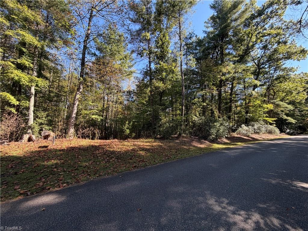 Single Family Residence at 00 Lawrelyn Drive, Mount Airy NC 27030, Mount Airy, photo 5 of 14
