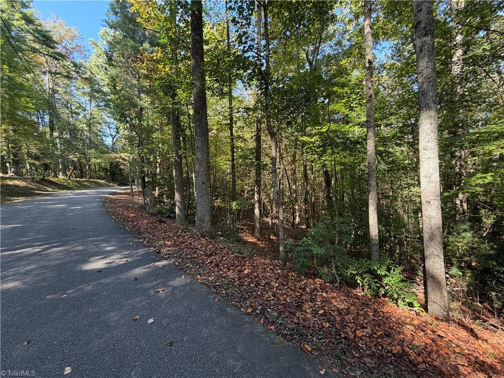 Single Family Residence at 00 Lawrelyn Drive, Mount Airy NC 27030, Mount Airy, photo 7 of 14