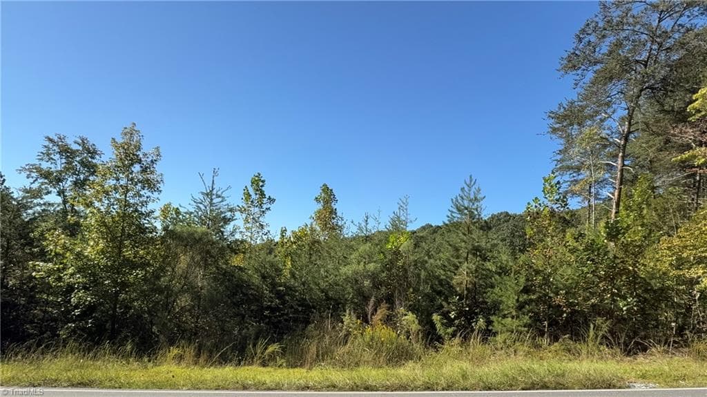 Unimproved Land at 0 Cedar Forest Road, Franklinville NC 27248, Franklinville, photo 3 of 8