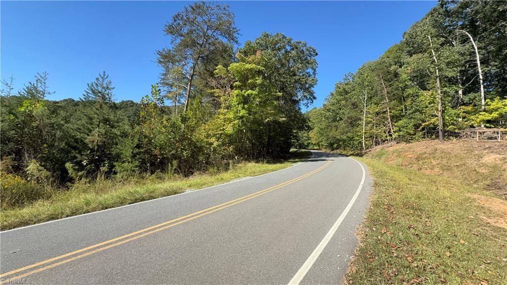 Unimproved Land at 0 Cedar Forest Road, Franklinville NC 27248, Franklinville, photo 5 of 8