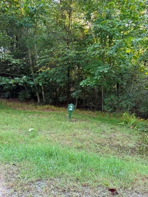 Unimproved Land at TBD Fishers Peak View, Ennice NC 28623, photo 2 of 25