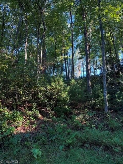 Unimproved Land at TBD Fishers Peak View, Ennice NC 28623, photo 7 of 25