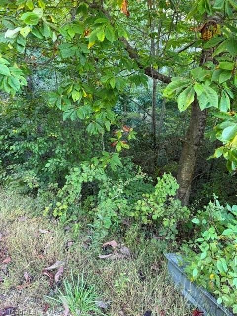 Unimproved Land at TBD Fishers Peak View, Ennice NC 28623, photo 3 of 25