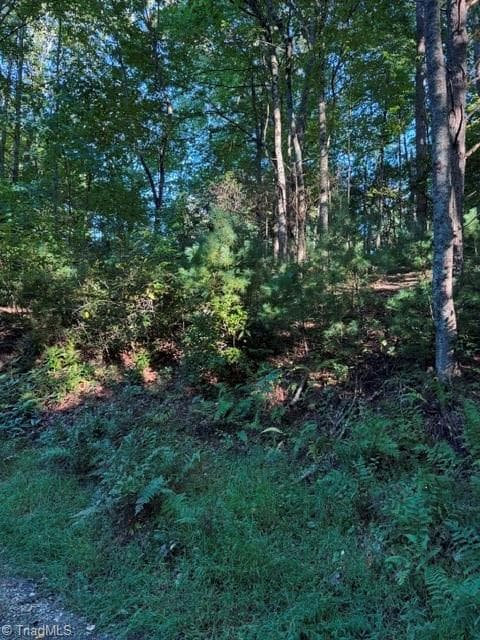 Unimproved Land at TBD Fishers Peak View, Ennice NC 28623, photo 9 of 25