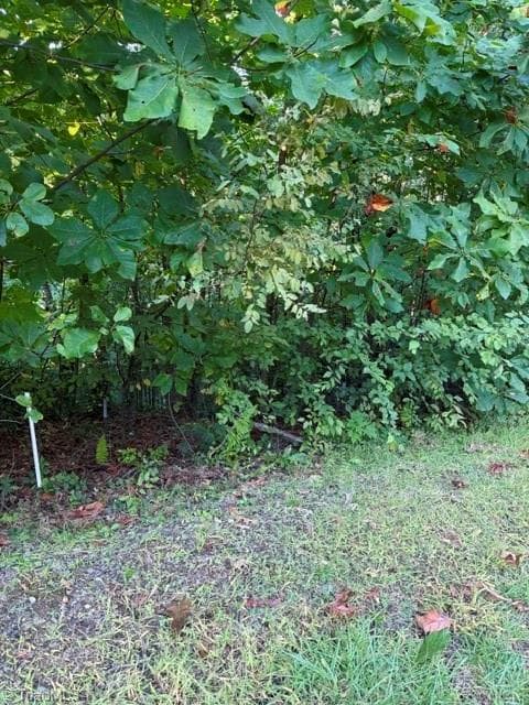 Unimproved Land at TBD Fishers Peak View, Ennice NC 28623, photo 14 of 25
