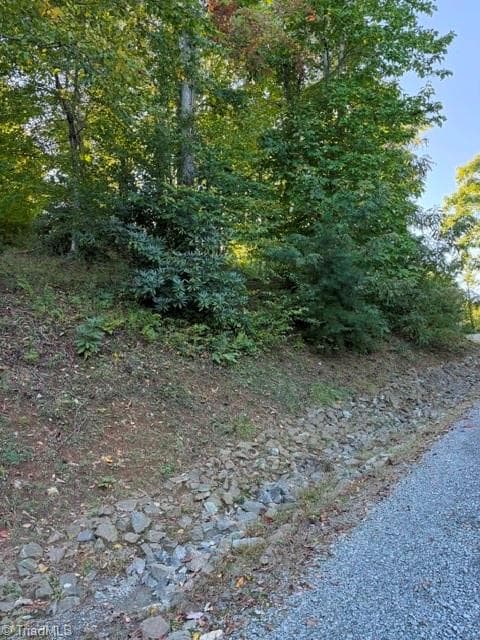 Unimproved Land at TBD Fishers Peak View, Ennice NC 28623, photo 18 of 25