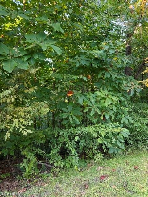 Unimproved Land at TBD Fishers Peak View, Ennice NC 28623, photo 15 of 25