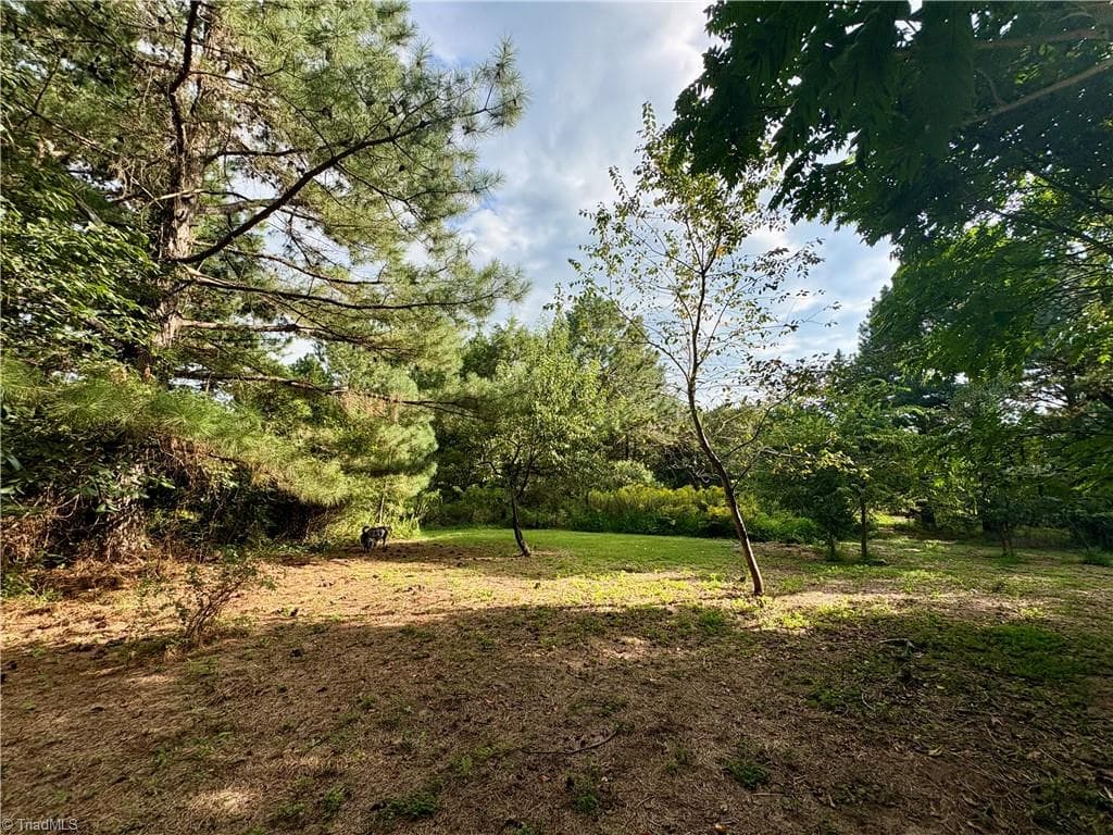 Single Family Residence at 1574 Major Hill Road, Snow Camp NC 27349, Snow Camp, photo 9 of 15