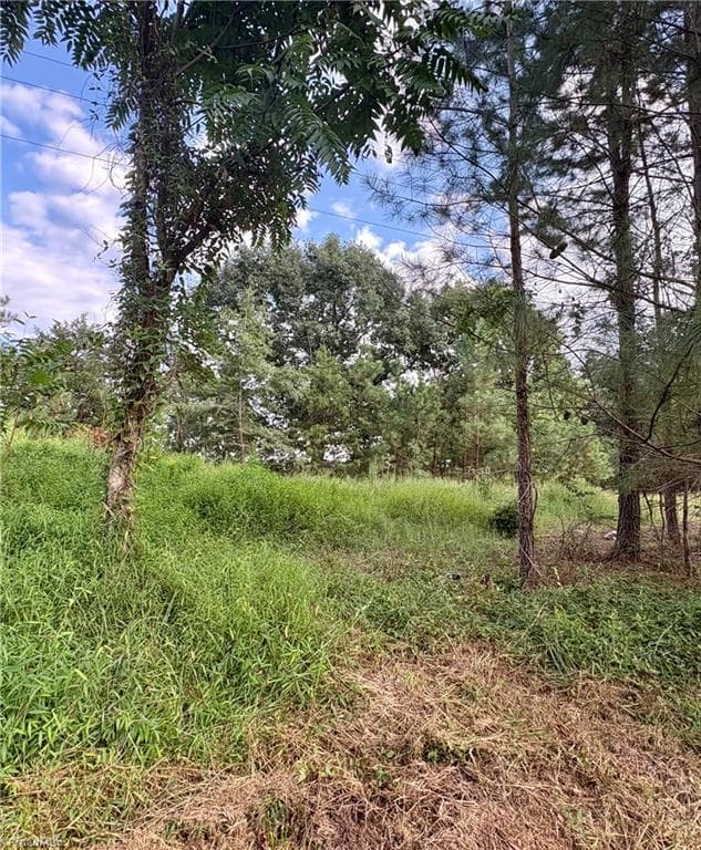 Single Family Residence at 1574 Major Hill Road, Snow Camp NC 27349, Snow Camp, photo 11 of 15