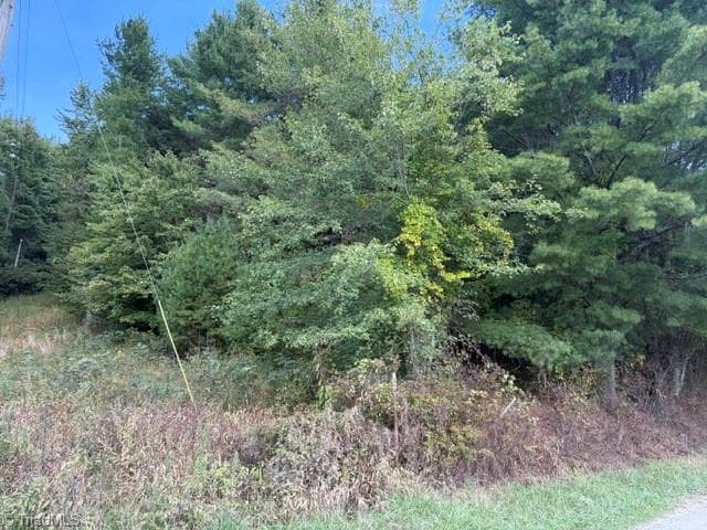 Agriculture at 585 miller Road, Laurel Springs NC 28644, Laurel Springs, photo 2 of 6
