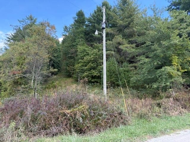 Agriculture at 585 miller Road, Laurel Springs NC 28644, Laurel Springs, photo 6 of 6