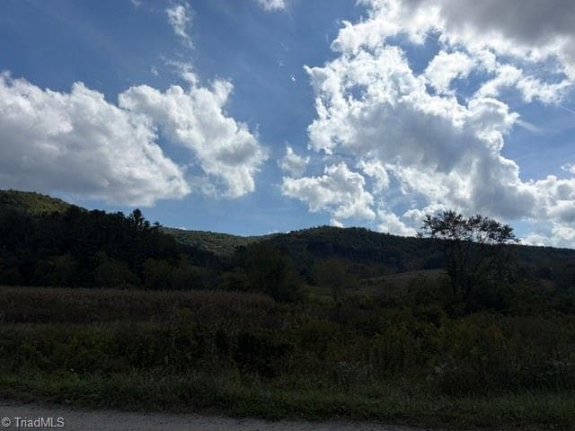 Agriculture at 585 miller Road, Laurel Springs NC 28644, Laurel Springs, photo 3 of 6
