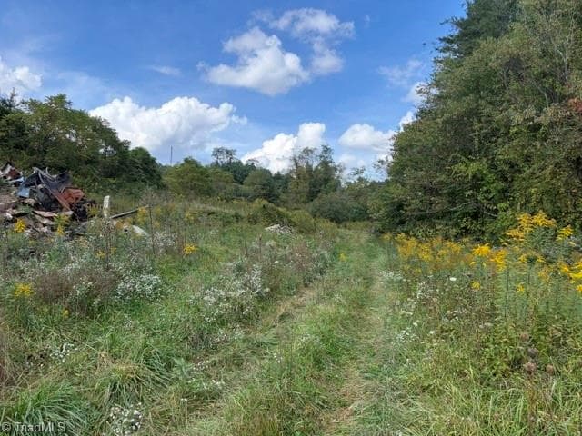 Agriculture at 585 miller Road, Laurel Springs NC 28644, Laurel Springs, photo 5 of 6