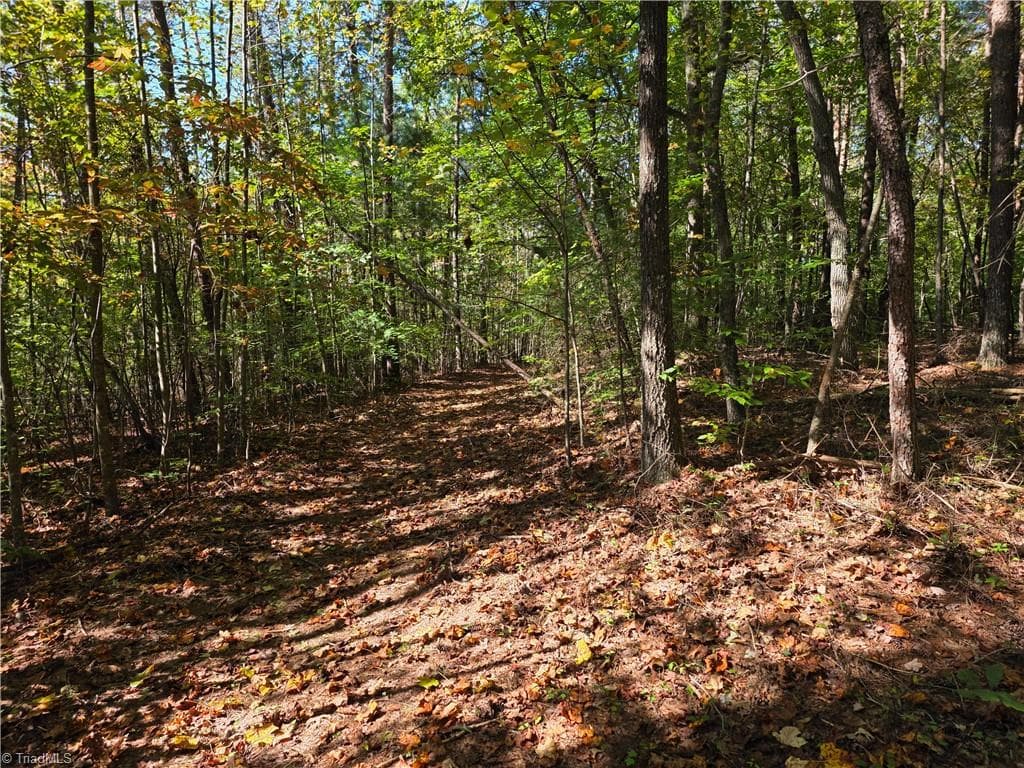 Unimproved Land at 1198 Jackson Road # 10, Westfield NC 27053, Westfield, photo 11 of 18
