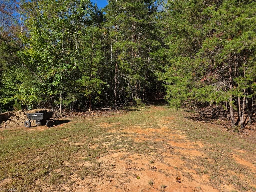 Unimproved Land at 1198 Jackson Road # 10, Westfield NC 27053, Westfield, photo 7 of 18