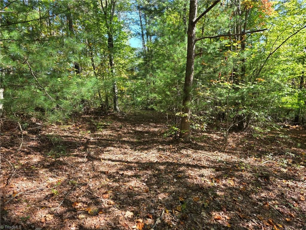 Unimproved Land at 1198 Jackson Road # 10, Westfield NC 27053, Westfield, photo 15 of 18