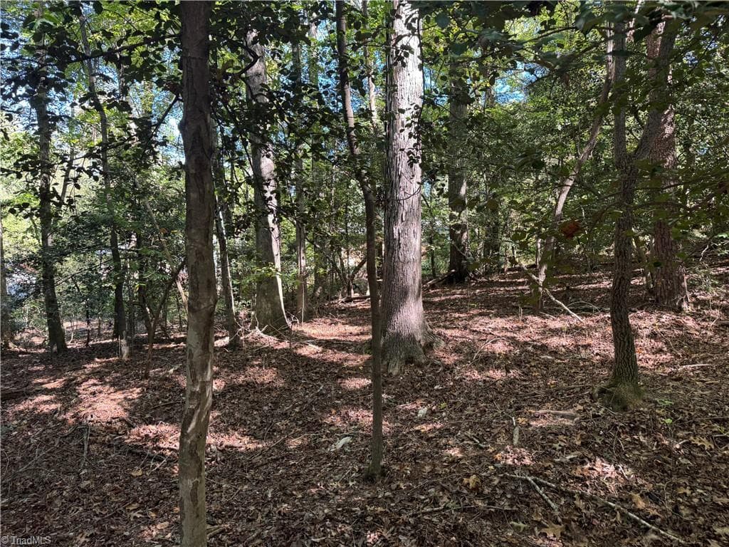 Unimproved Land at 3.6 Maple Street, Jonesville NC 28642, photo 6 of 8