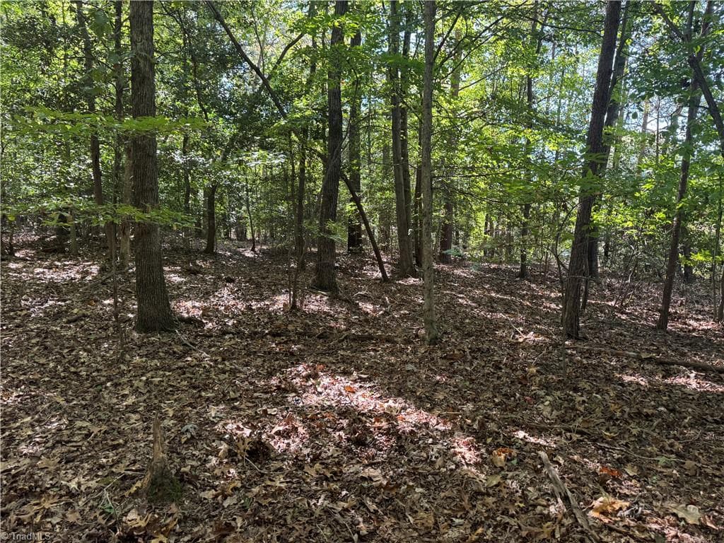 Unimproved Land at 3.6 Maple Street, Jonesville NC 28642, photo 7 of 8