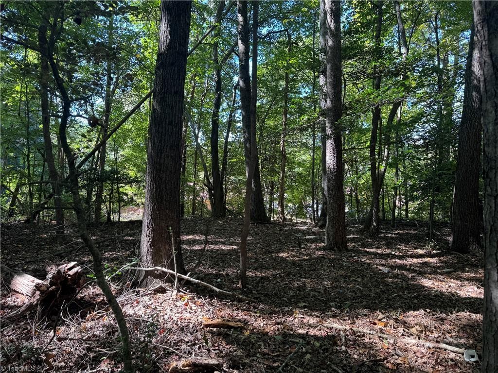 Unimproved Land at 3.6 Maple Street, Jonesville NC 28642, photo 5 of 8