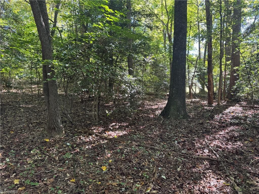 Unimproved Land at 3.6 Maple Street, Jonesville NC 28642, photo 8 of 8