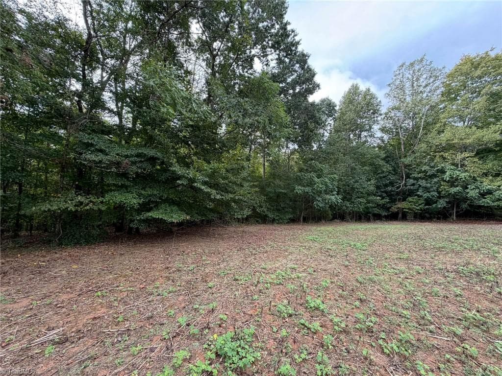 Single Family Residence at 6700 Lot 25+/- Acres Doral Drive, Tobaccoville NC 27050, Tobaccoville, photo 23 of 43